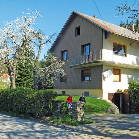 Apartmán Haus Hollerbusch Neunburg vorm Wald Exteriér fotografie