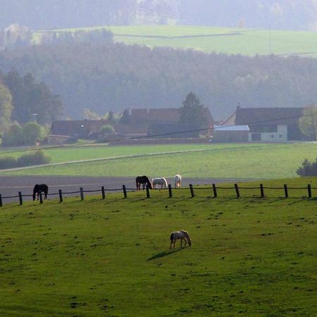 Apartmán Haus Hollerbusch Neunburg vorm Wald Exteriér fotografie
