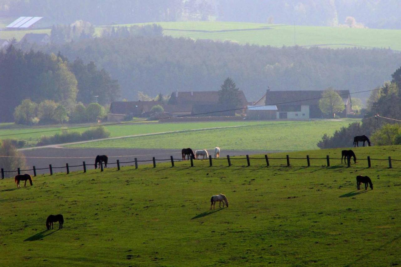 Apartmán Haus Hollerbusch Neunburg vorm Wald Exteriér fotografie