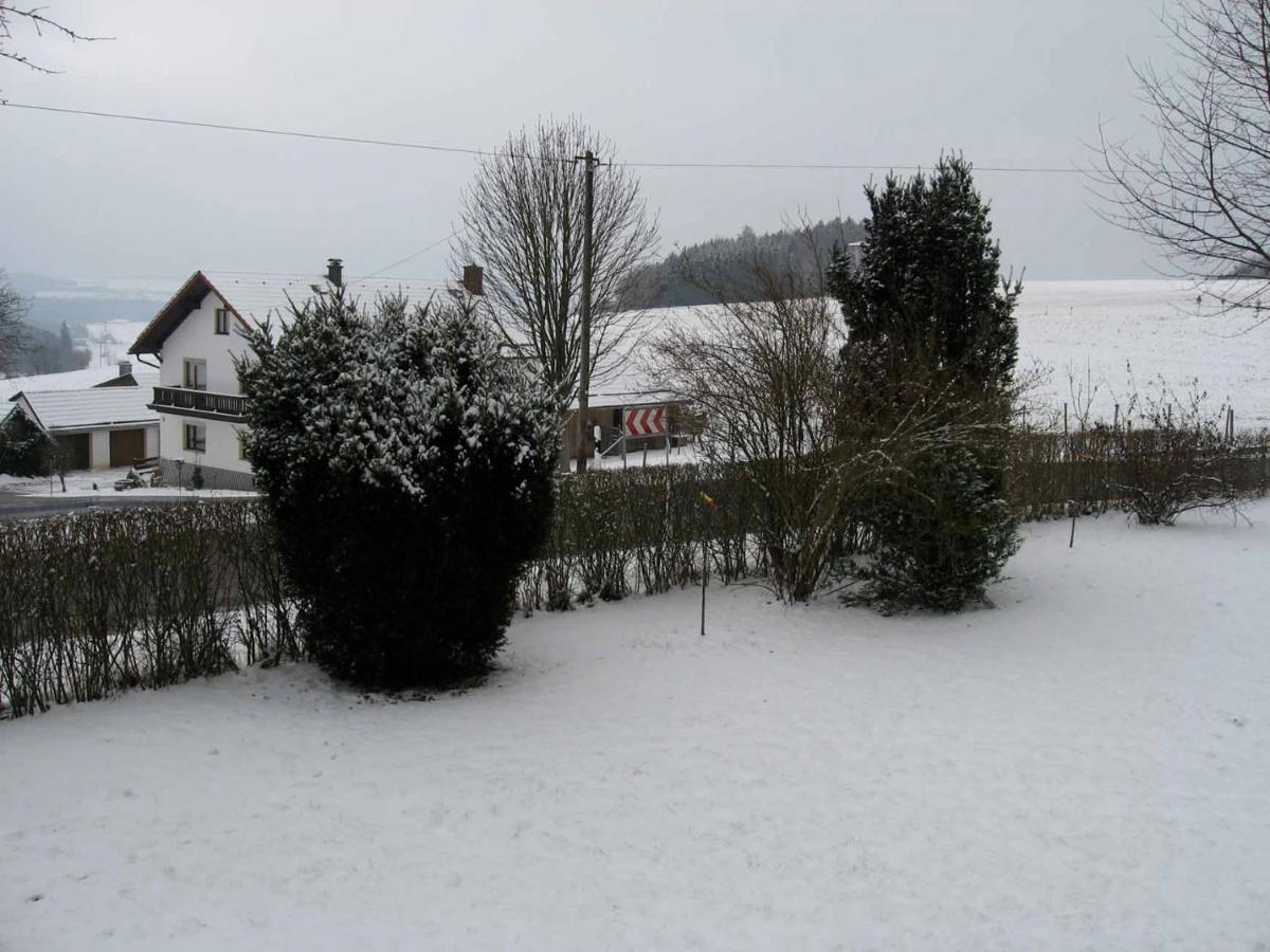 Apartmán Haus Hollerbusch Neunburg vorm Wald Exteriér fotografie
