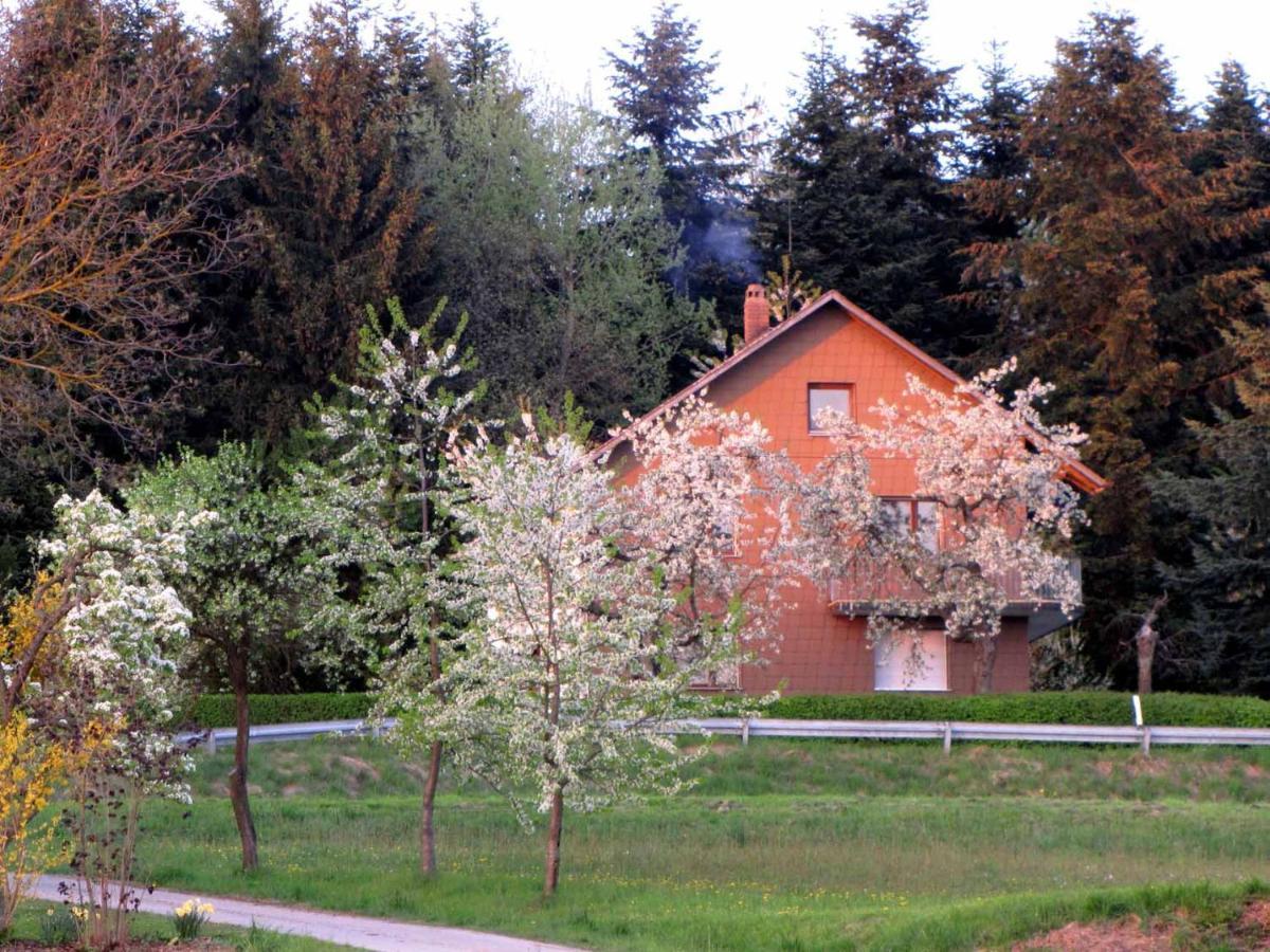 Apartmán Haus Hollerbusch Neunburg vorm Wald Exteriér fotografie
