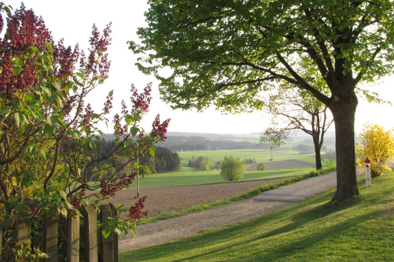 Apartmán Haus Hollerbusch Neunburg vorm Wald Exteriér fotografie